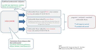 Are cardiovascular comorbidities always associated with a worse prognosis in patients with lung cancer?